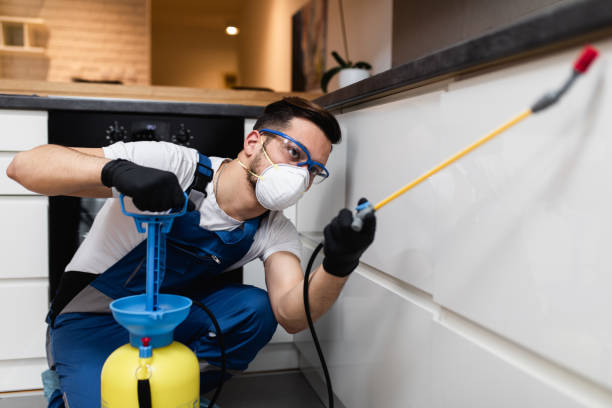 Best Rat Extermination Near Me  in Waterloo, WI